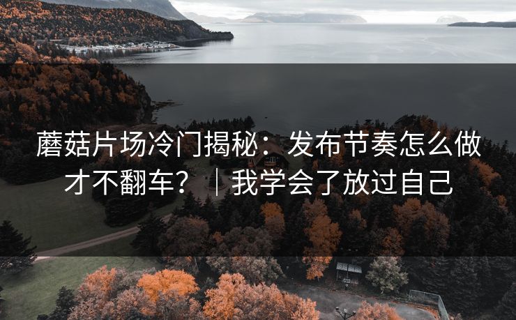 蘑菇片场冷门揭秘：发布节奏怎么做才不翻车？｜我学会了放过自己