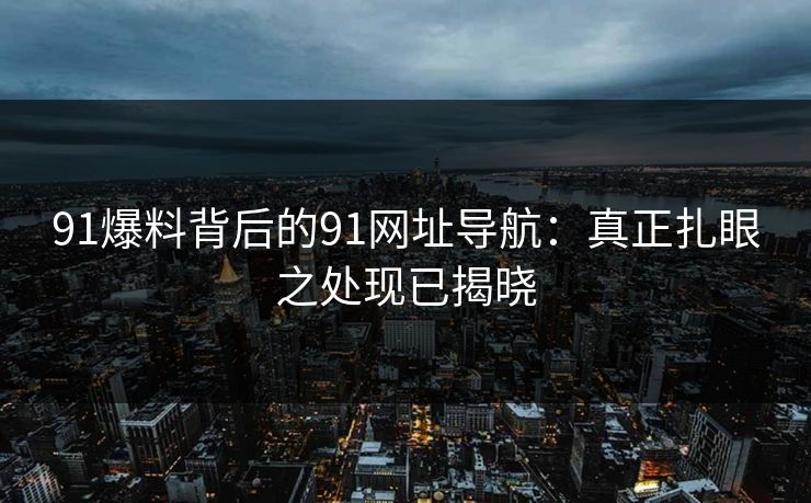 91爆料背后的91网址导航：真正扎眼之处现已揭晓